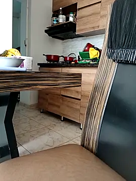 LEIRIS_Y_FRED_01 webcam