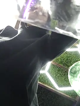 pleasure_of_life webcam