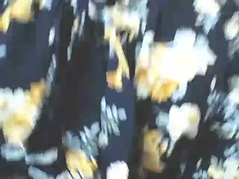 charlottekiss99 webcam