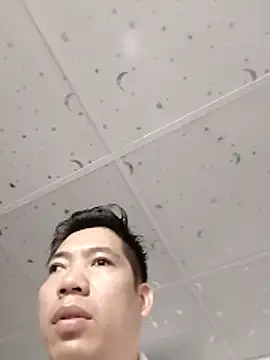 GAIXINH_Layck webcam