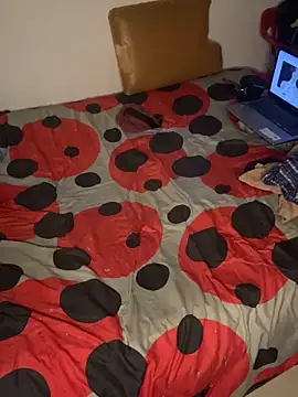 AlexanderBianchi2 webcam