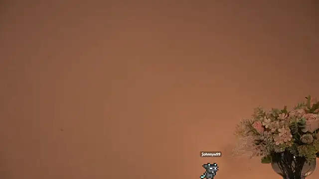 Hi_my_name_is webcam