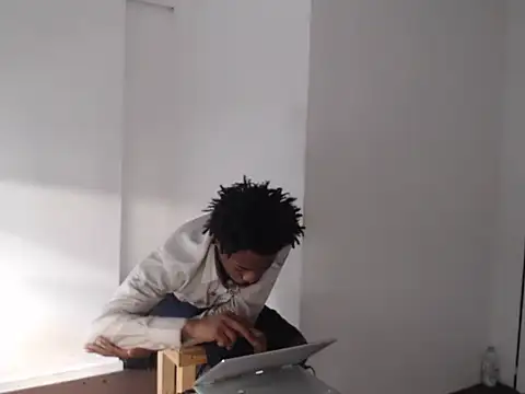 Mastertopdome webcam