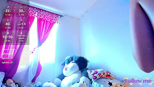 milita_houston webcam