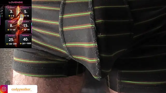 CodyWalkerR webcam