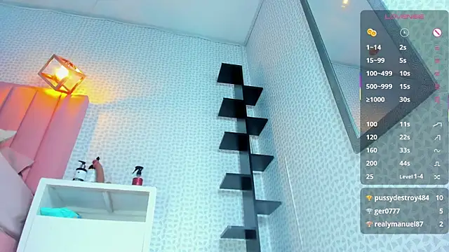 DENISERICHARD2 webcam