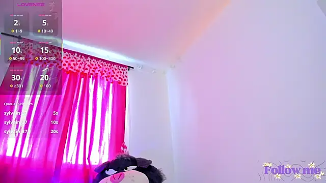 milita_houston webcam