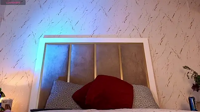 Sophie_teller webcam