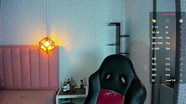 DENISERICHARD2 webcam