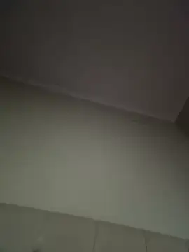 AriaModelique webcam