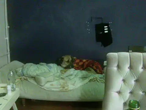 turkishTransEfsun webcam