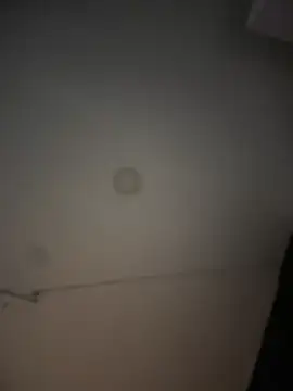 Preview of belanny_ls