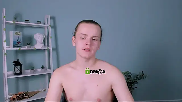 leo_void webcam