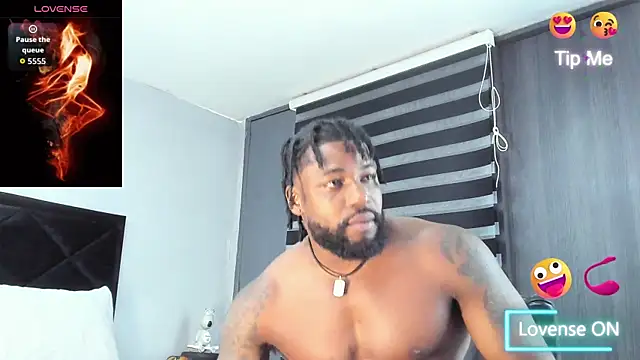 Dancelwashington webcam