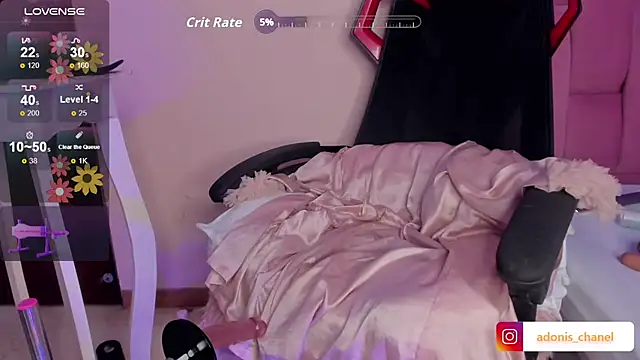 CHANELL_11INCHES webcam