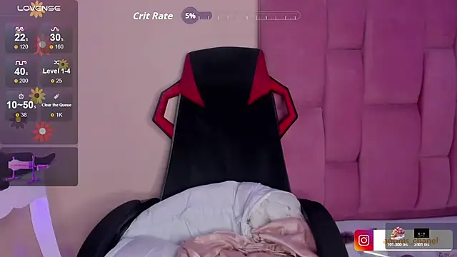 CHANELL_11INCHES webcam