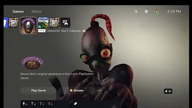 DizenedCollard webcam