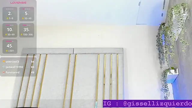 Liincostelloo webcam