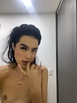 Dakota-Mitchell webcam