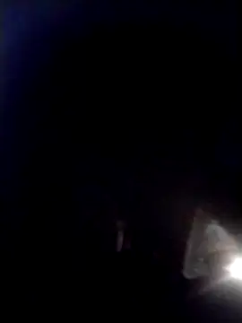 AceticPinscher webcam