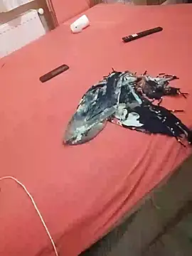 hatunundibi34 webcam