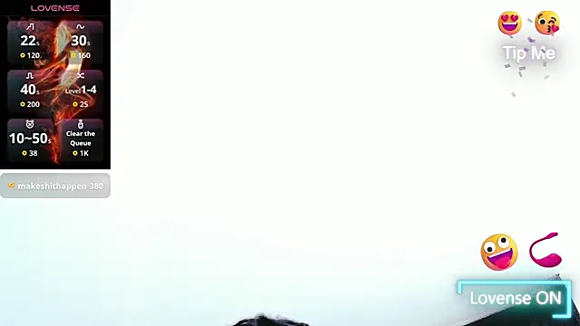 Dancelwashington webcam