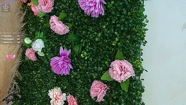 julieta_aguilar1 webcam