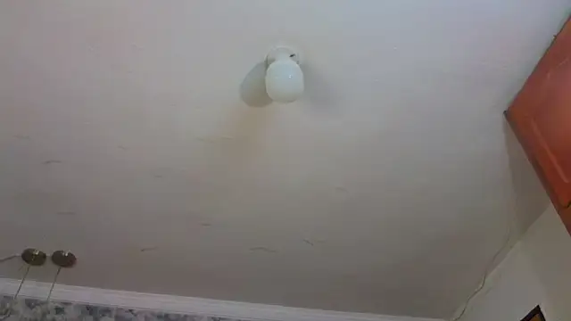 Apolo_rousse1 webcam