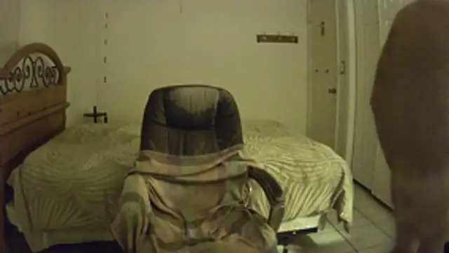 nakeedcowboi65 webcam