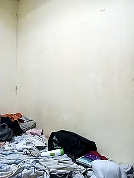 pretolindo2025 webcam