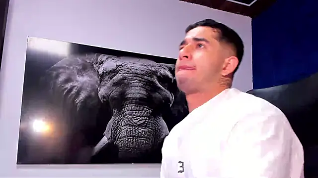 king_falconer webcam