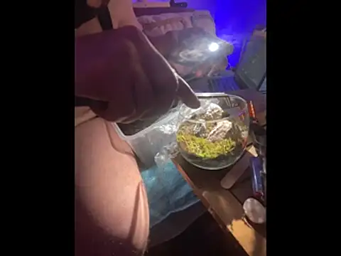 Alpha_theking webcam