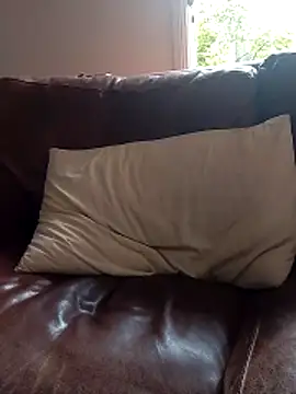 stiffandlubed@xh webcam