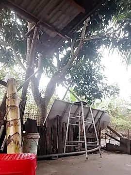 Webcam Model (BigBoobs186)  is live.Free join now!