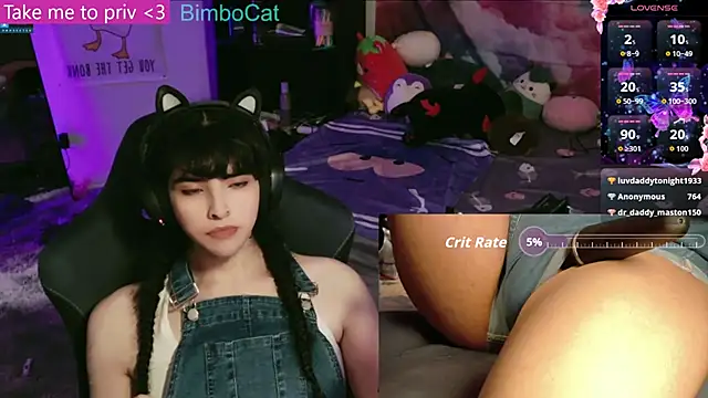 BimboCat webcam