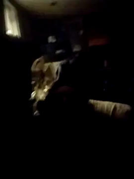 AceticPinscher webcam