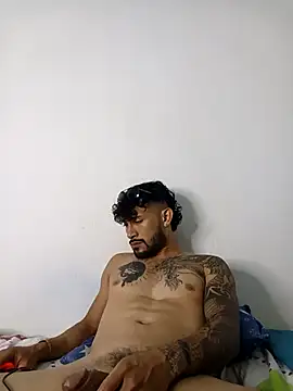 Kingbigcock23cm webcam