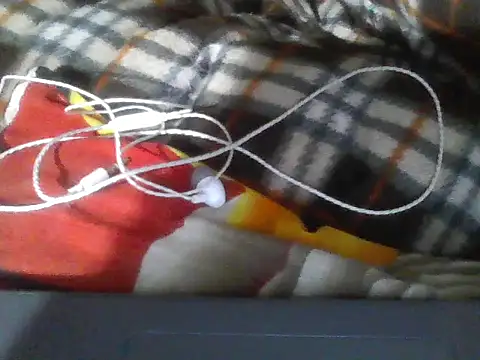 Stubborndesiboy webcam