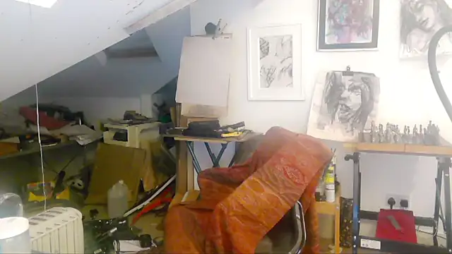 mista_sista_fista webcam