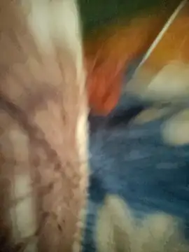 uniquesexyboy5689 webcam