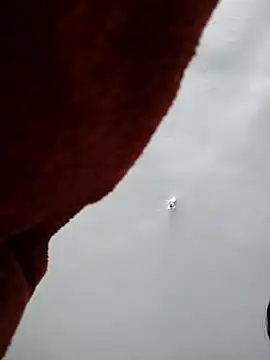 ananya_telugu webcam