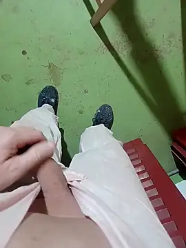 GeilerSchweizer webcam