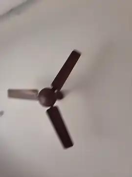 vinay_smalldick webcam