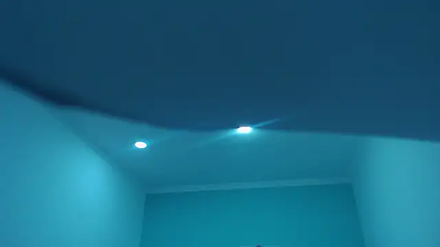 lilfleurish - LilFleurish's free webcam