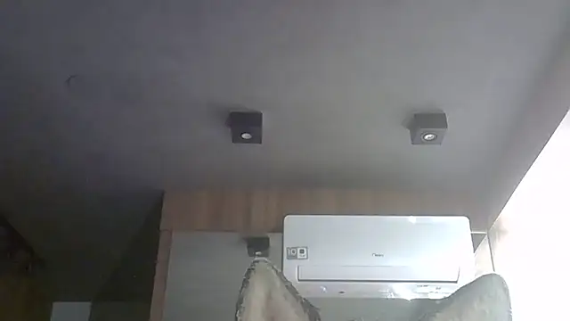 SkinnyKitten webcam
