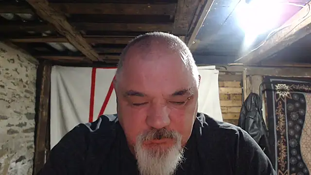 Newfiesausage1972 webcam