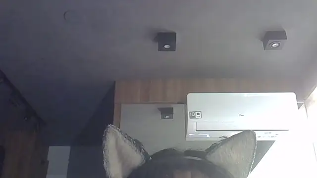 SkinnyKitten webcam