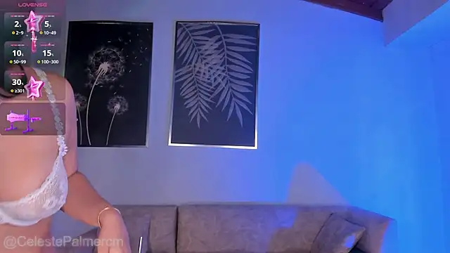 CelestePalmer_ webcam