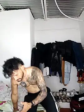 Kingbigcock23cm webcam