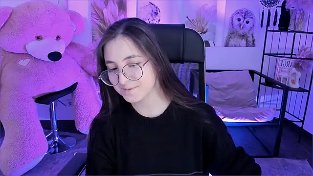 VirtuallVoyant webcam